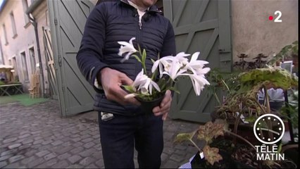 Jardin – Saint-Jean de Beauregard (2ème partie)