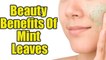 Eight Beauty Benefits Of Mint Leaves | Boldsky