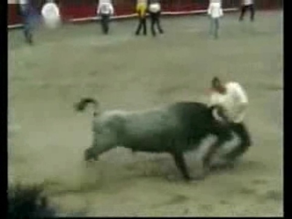 Regis torerro !!