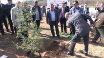 Afrin şehitleri için hatıra ormanı oluşturuldu  - KIRKLARELİ