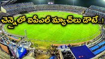 IPL 2018 : Ban IPL Matches Chennai Till Cauvery Management Board Is Formed
