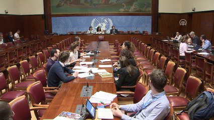 BM'den İsrail'e 'aşırı güç' tepkisi - CENEVRE