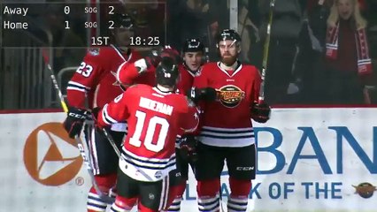 ECHL Toledo Walleye 5 at Indy Fuel 4