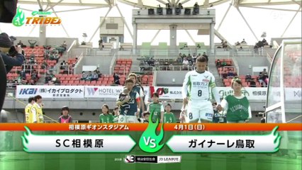 ガイナーレＴＲＩＢＥ