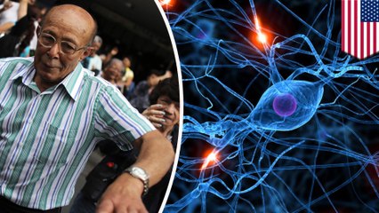 Old fogies can still make new brain cells, study says