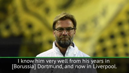 Klopp is the ideal man to lead Liverpool - Alonso
