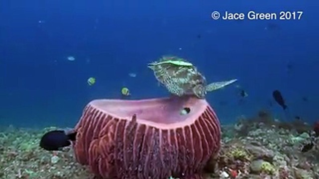 That feeling when you just need to take a nap