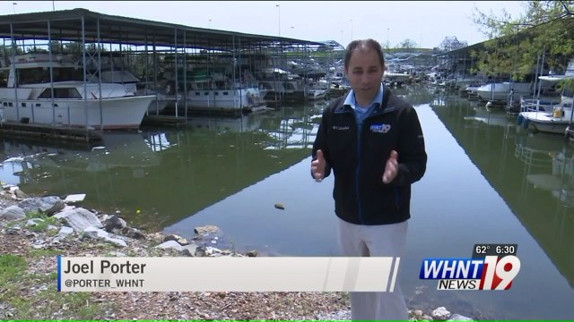 Strangers Rescue Woman, Dog Trapped on Boat During Storm