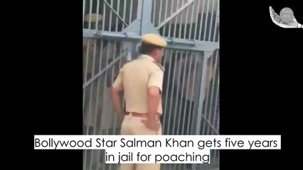 Bollywood Star Salman Khan gets five years in jail for poaching