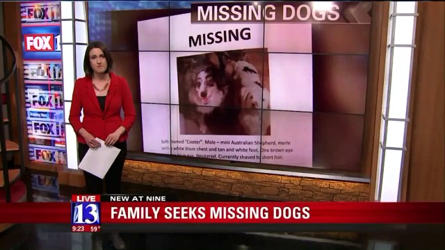 Family Fears Dogs Were Stolen During Camping Trip
