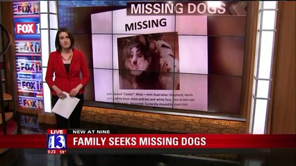 Family Fears Dogs Were Stolen During Camping Trip