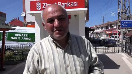 Arının soktuğu kişi öldü - KASTAMONU