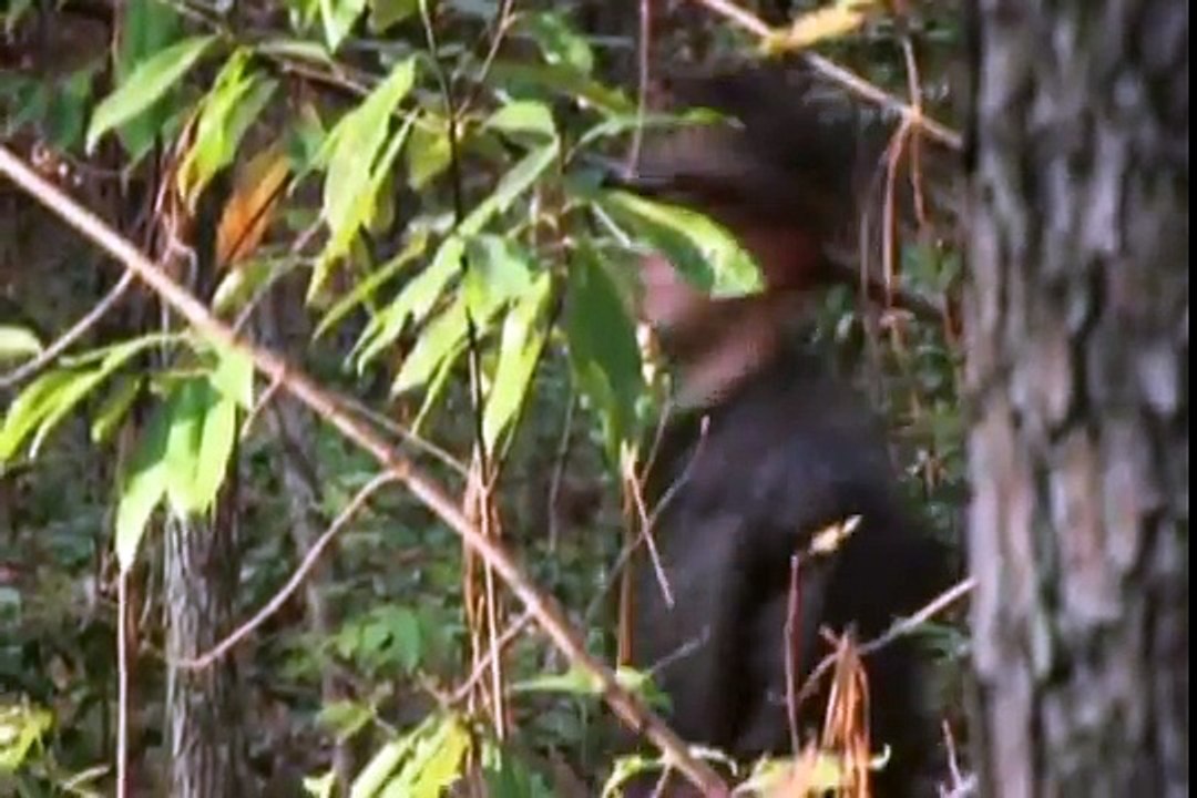 Creepy Canada - Bigfoot