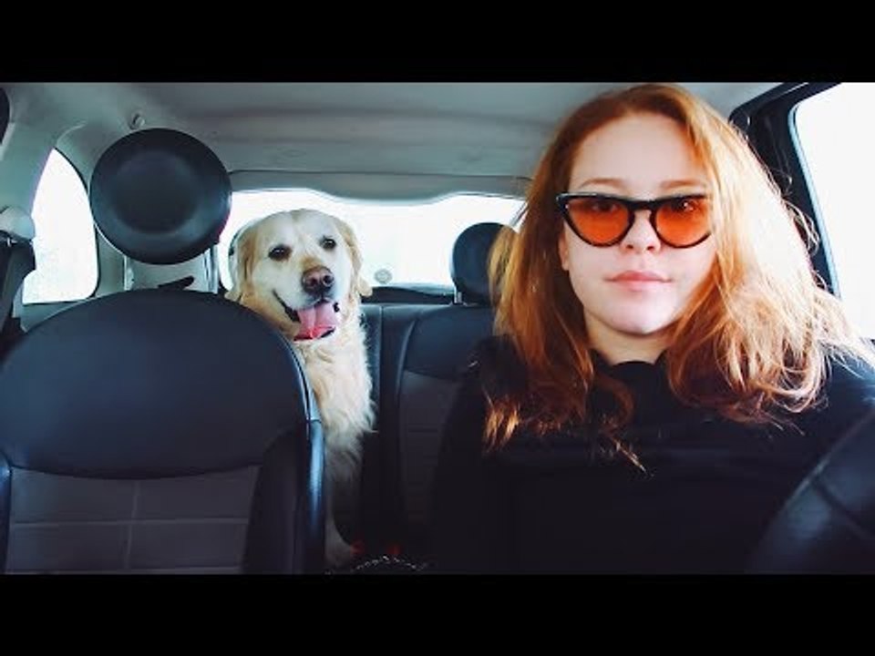VLOG: Ο ΣΚΥΛΟΣ ΜΟΥ ΜΕ ΡΕΖΙΛΕΥΕΙ ● Mara Samartzi