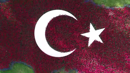 Anadolu Ajansı 98 Yaşında - Çiçeklerle "Aa 98. Yıl" Yazıldı