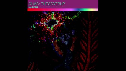 OLMS - The  Body  Hate (VIDEOClip HDHQ) New mix Album Version  2018