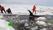 Ces sauveteur font tout pour sauver une orque piégée dans les glaces en russie