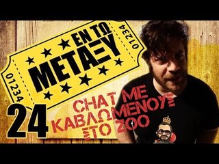 Ponzi | Εντωμεταξύ (chat με αναμμένους στο zoo)