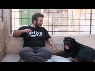 Ponzi | Ρώτα τον Μάρκος