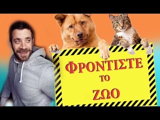 Ponzi | Φροντίστε το Ζώο