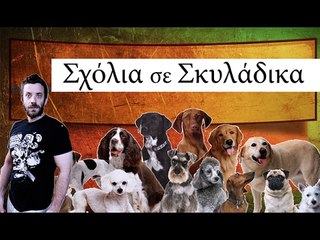 Ponzi | Σχόλια σε σκυλάδικα