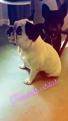 Paula, tenemos visitas - 06 de Abril