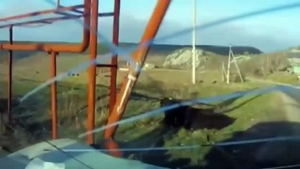 MOMENTS WHEN ANIMALS MADE FUN OF DRIVERS