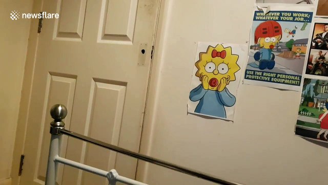 Confused cat reacts to the sound of kittens meowing from Bluetooth headphones