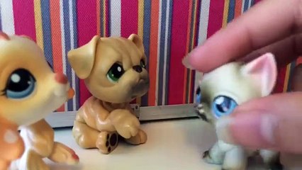 Lps: My Hopeless Romance Episode 1 {Hope Williams}