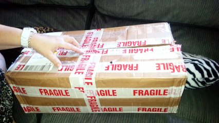 ChristinasReborns - Reborn Baby Box Opening - Serenity by Laura Lee Eagles