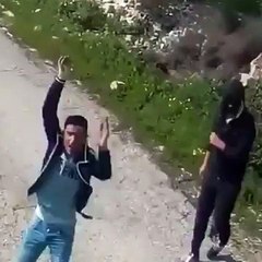 Eşek Arılarını Gören Teröristler Şaşkına Döndü