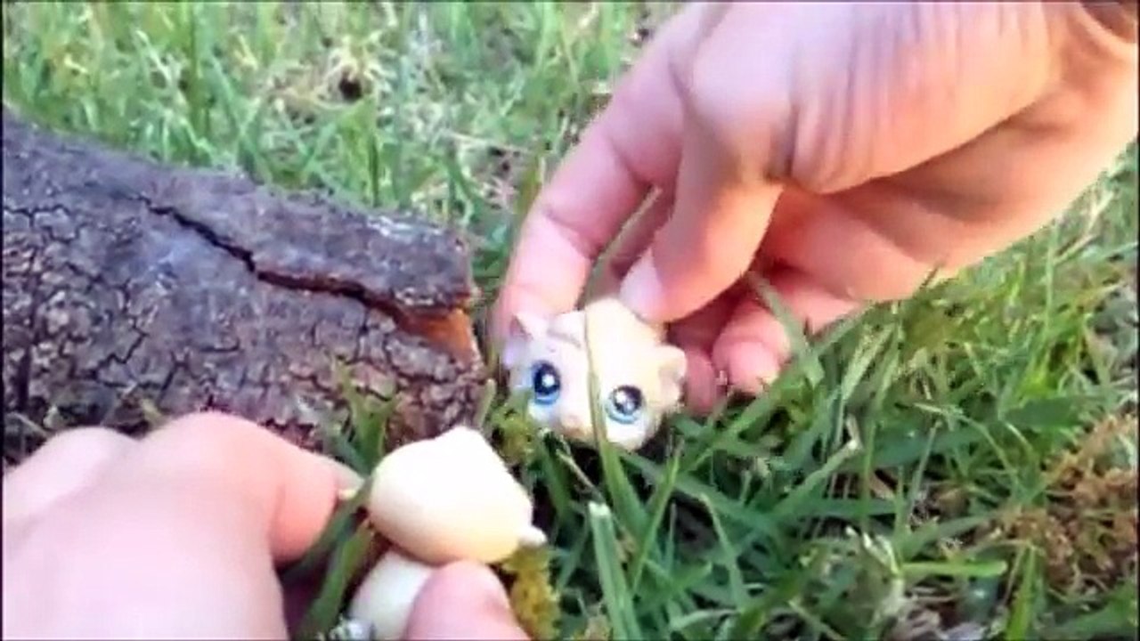 LPS: Frozen Part 2
