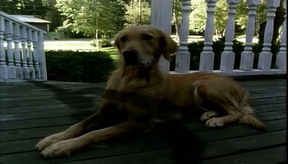 Goosebumps S01E11 My Hairiest Adventure