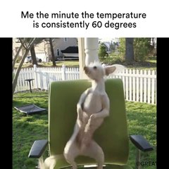 Me the minute the temperature is consistently 60 degrees