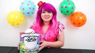Hatching My Very Own Hatchimals Egg | TOY REVIEW | KiMMi THE CLOWN