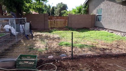 PLANNING A GOAT SETUP