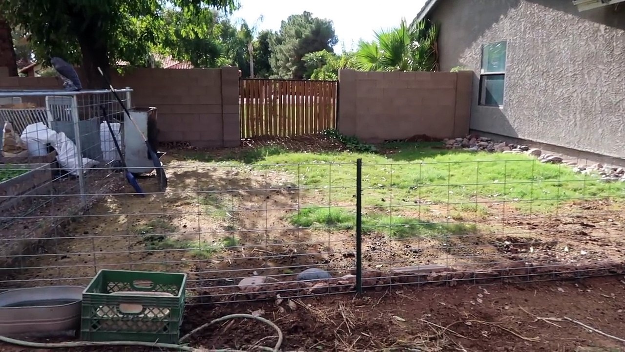 PLANNING A GOAT SETUP