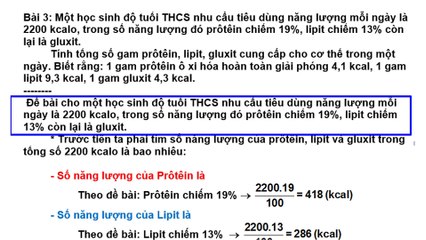 Bài tập BD HSG Sinh 8 - Trao đổi chất và năng lượng