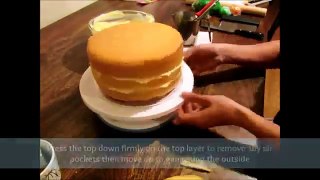 Dinosaur Cake - Tutorial