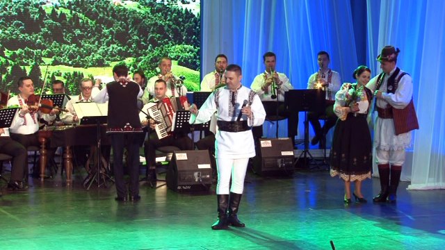 Nicu Cioanca & Orc. Rapsodia Bihoreana ,dir. Liviu Butiu - Oradea 2015