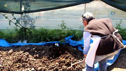 Doğaya zarar vermeden para kazanıyorlar