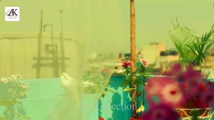 Cute Couple Kiss  Whatsapp Status Video   Ak collection 