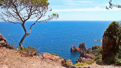 A vendre - Maison/villa - CARQUEIRANNE (83320) - 8 pièces - 185m²