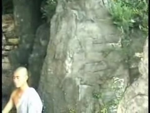 Encyclopédie des arts martiaux de Shaolin