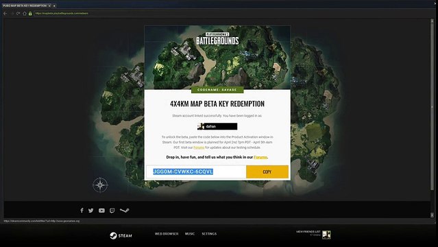 Un streameur affiche une clef beta par erreur