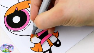 Powerpuff Girls Z Coloring Book Blossom Momoko Akatsutsumi Surprise Egg and Toy Collector SETC