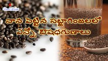 Quick Weight Loss with CHIA SEEDS & Health Benefits Of CHIA Seeds