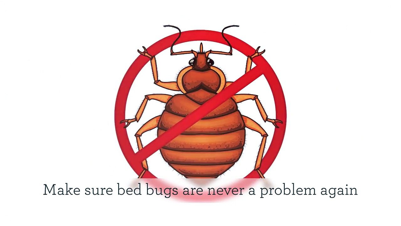 Pro Bed Bug Guys