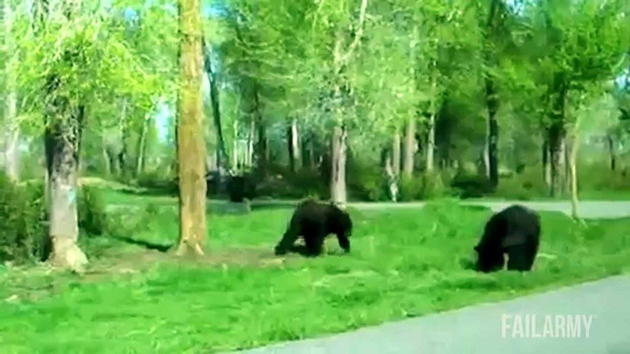 Funniest Animal Fails Compilation || FailArmy