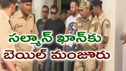 సల్మాన్‌ బెయిల్‌ పిటషన్‌పై విచారణ ,బెయిల్‌ మంజూరు